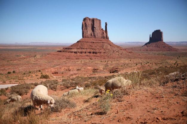 Monument Valley, UtahArizona, United States