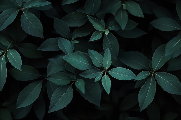 Photo moody dark green leaves on black background