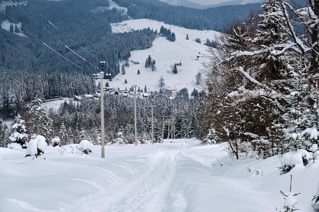 Moody landscape with footpath tracks and pine trees covered with fresh fallen snow in winter mountain forest on cold gloomy evening.