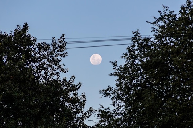 moonset in the sky of Rio de Janeiro Brazil