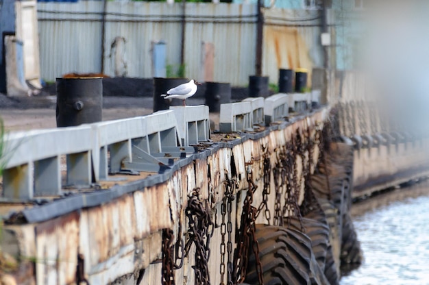 The mooring wall in the port hung with old tires