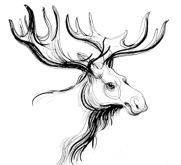 Moose head. Ink black and white drawing