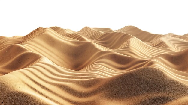 Photo mooth sand dune waves isolated