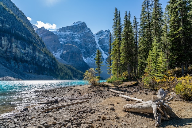 Moraine lake beautiful landscape in summer sunny day morning. Banff National Park, Canadian Rockies, Alberta, Canada.