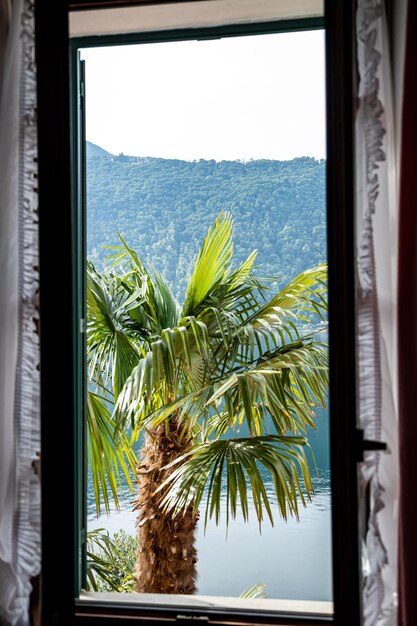 Morcote Ticino Switzerland May 21 2022 a palm through the window beautiful Morcote