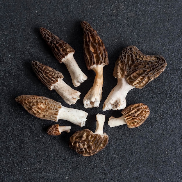 Morel mushrooms closeup on black background