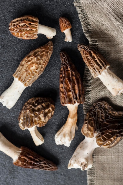 Morel mushrooms closeup on black background