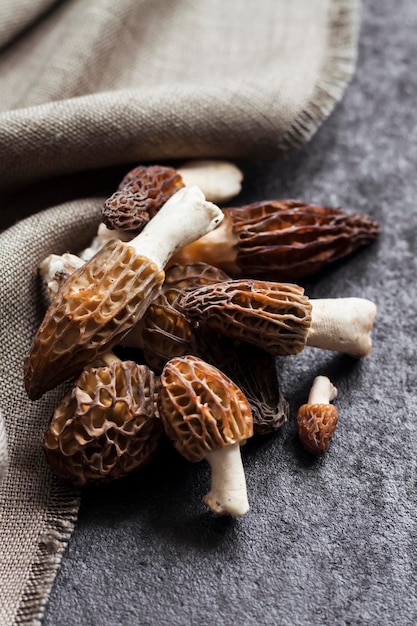 Morel mushrooms closeup on black background