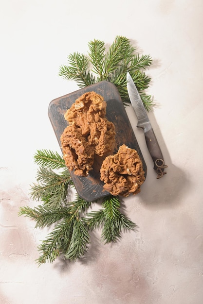 Morels mushrooms and firtree branches arranged on light background