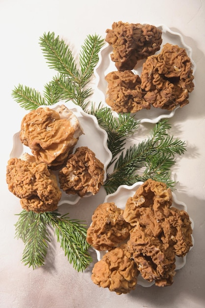 Morels mushrooms and firtree branches arranged on light background