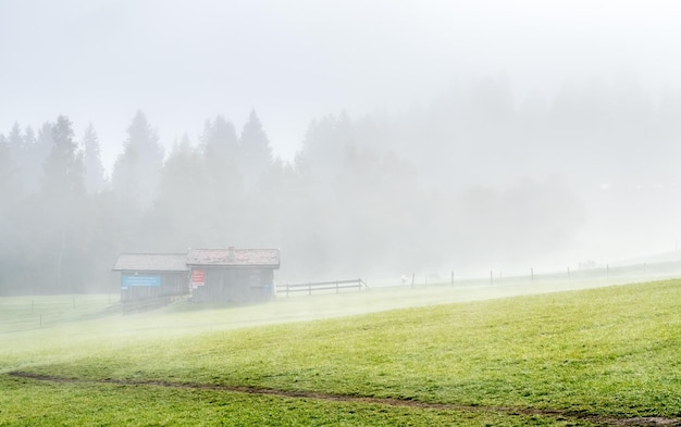 Morining green grass field in Oberammergau