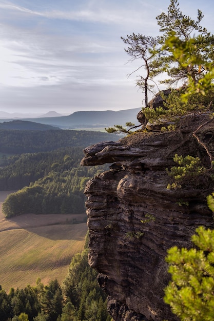 morning atmosphere long shadows in Saxon Switzerland national park Germany