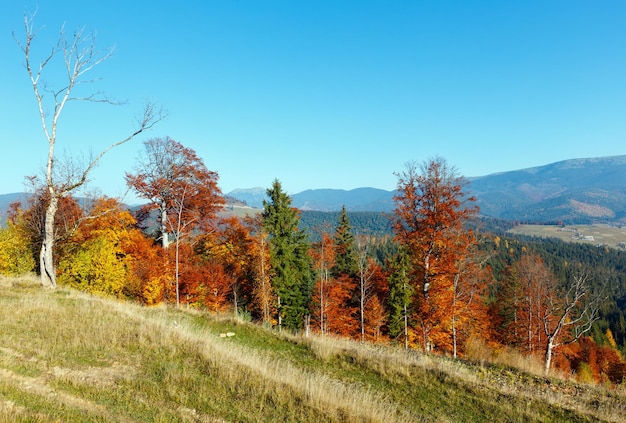 Morning autumn Carpathians landscape