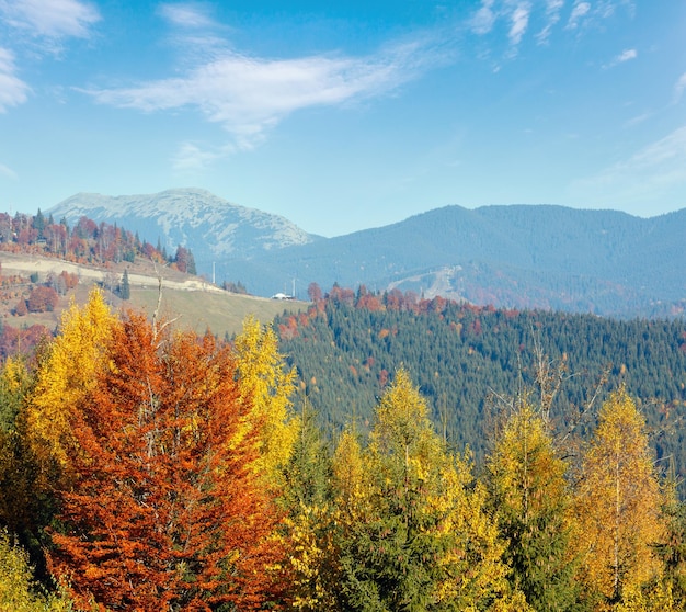 Morning autumn Carpathians landscape