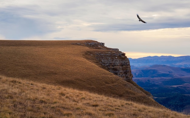 Morning autumn landscape with hills on high plateau and mountain range under dramatic cloudy sky The eagle hovers over the cliff Vivid early morning autumn colors in mountains