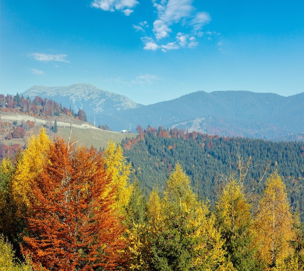 Morning autumn slopes with colorful trees of Carpathians Yablunytskyj Pass IvanoFrankivsk oblast Ukraine View on Gorgany mountain range