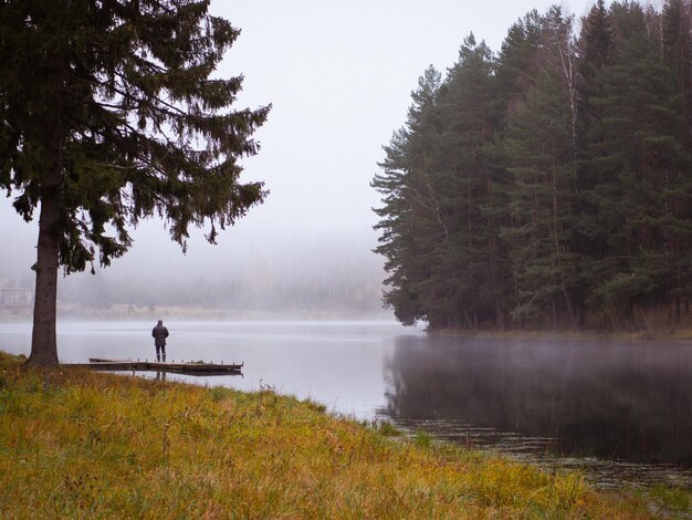 Morning fishing the guy throws spinning from the pier on a foggy morning