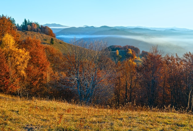 Morning fog in autumn Carpathian. Mountain landscape with colorful trees on slope.