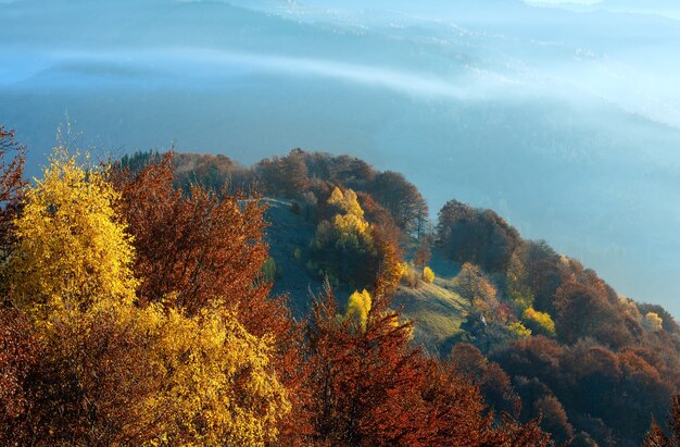 Photo morning fog in autumn carpathian. mountain landscape  with colorful trees on slope.