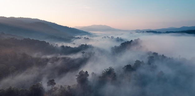 Morning fog and clouds in the hill forest