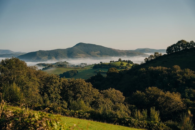 Morning fog in the mountains of the Pyrenees. High quality photo