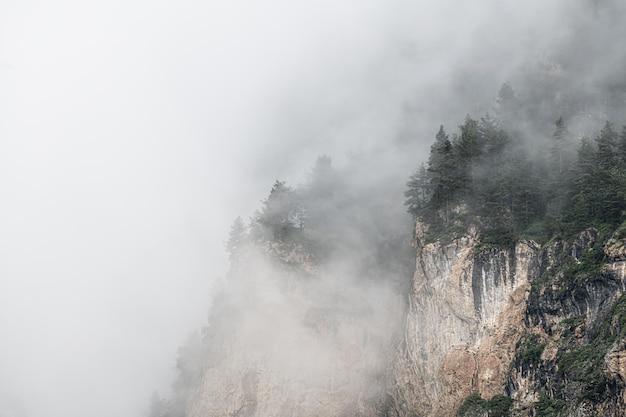 Morning fog in the mountains at sunrise Clouds over the rocks and trees