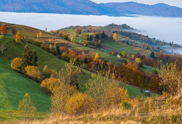 Morning foggy clouds in autumn mountain countryside Ukraine Carpathian Mountains Transcarpathia Peaceful picturesque traveling seasonal nature and countryside beauty concept scene