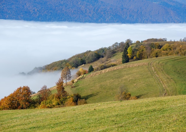 Morning foggy clouds in autumn mountain countryside Ukraine Carpathian Mountains Transcarpathia