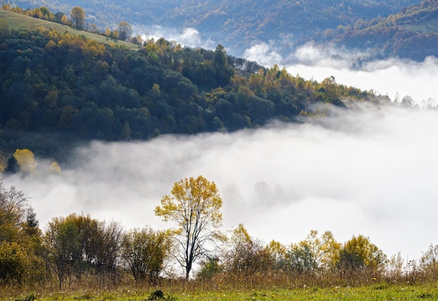 Morning foggy clouds in autumn mountain countryside Ukraine Carpathian Mountains Transcarpathia