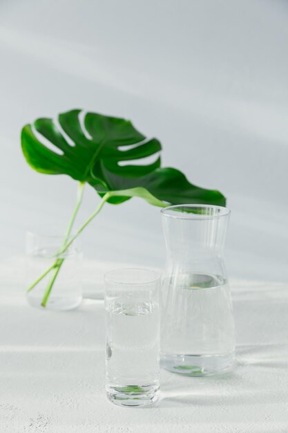 Morning glass and jar of clean water with two big green leaves on white table. Breakfast with sunlight long shadow and reflaction. Concept of a healthy lifestyle