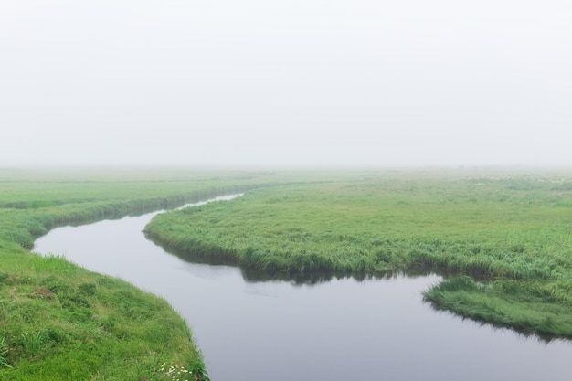 Morning landscape a vast meadow with lush grass is hidden by fog