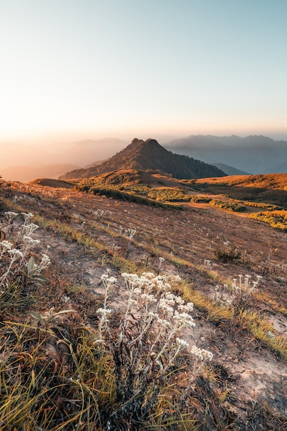 Morning light and mountains,mountains in summer morning and spring flowers