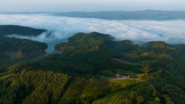 Morning mist heavy over reservoir national park north of thailand aerial view