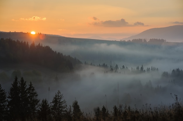 Morning in the mountains