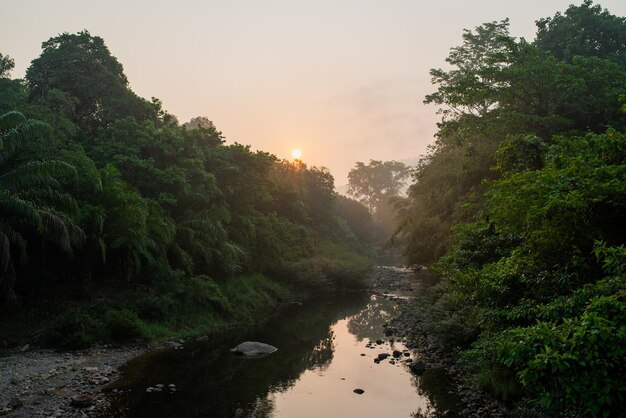 Morning river fog dawn