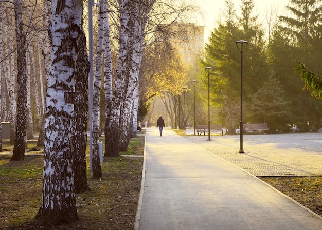 Morning in the spring park The silhouette of a woman walking along the path of the park