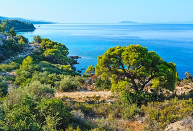 Morning summer Aegean Sea coastline (Nikiti, Sithonia, Halkidiki, Greece).