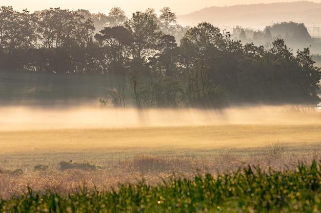 Morning Sunrise and Mist in Anseong Farmland, Korea