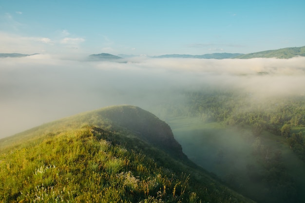 Morning thick fog on the tops of the hills. Walk among the milk mist. Close.