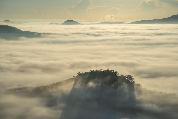 Morning in the valley With a thick fog