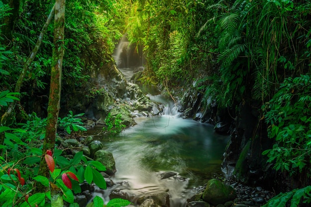 Morning view in Indonesia with a beautiful waterfall in the morning