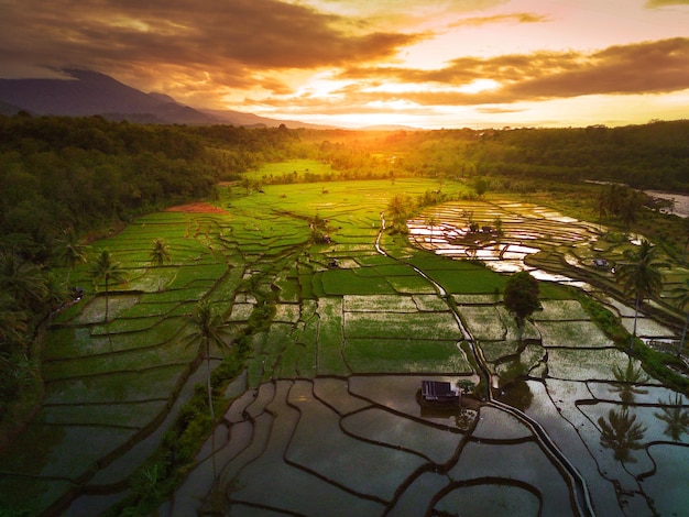 Morning view in indonesia with green rice mountain at sunrise shining bright