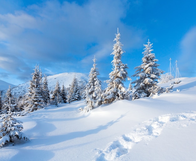 Morning winter mountain landscape with fir trees and footsteps on slope.