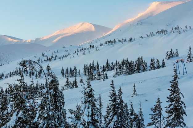 Morning winter mountain landscape with fir trees and surface lift on slope (Carpathian).