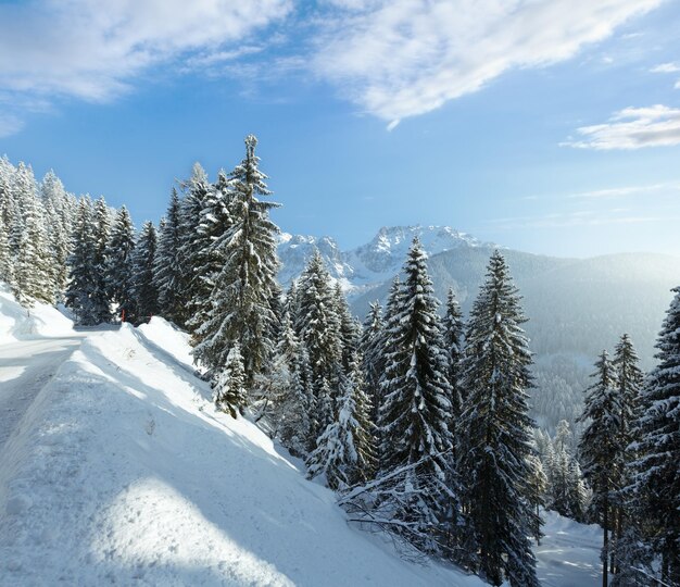 Morning winter mountain landscape