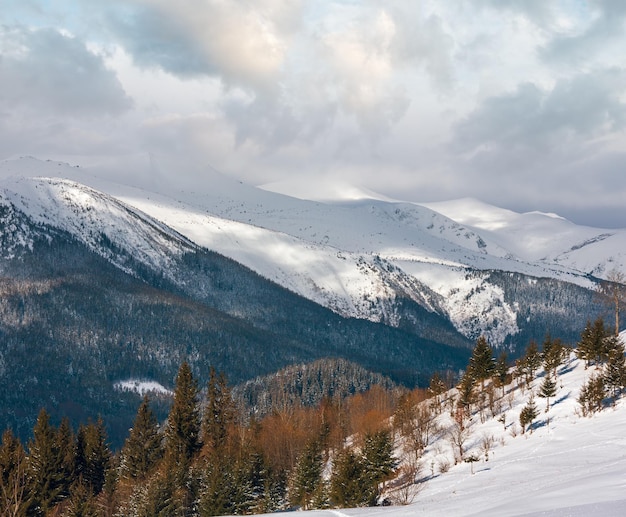 Morning winter snow covered scenery picturesque alp mountain ridge Ukraine Carpathian Mountains Chornohora Range tranquility peaceful view from Dzembronya village outskirts hills