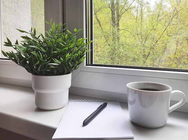 Morning with a good view from the window notes in a notebook for the day Refreshing flowers indoors on the windowsill