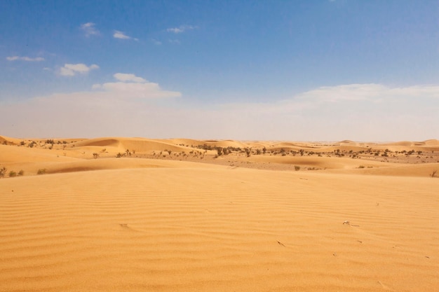 Moroccan desert landscape with blue sky view of desert dunes at sunset