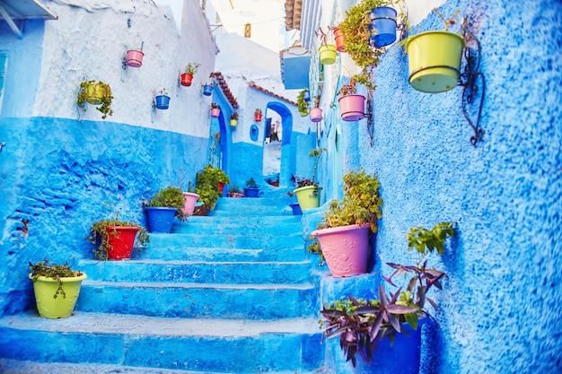 Morocco is the blue city of Chefchaouen, endless streets painted in blue color. Lots of flowers and Souvenirs in the beautiful streets of Chefchaouen. A magical fairy-tale city of heavenly color