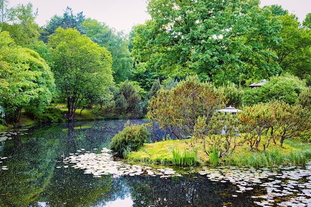 Moscow Botanical Garden of Academy of Sciences, Russia